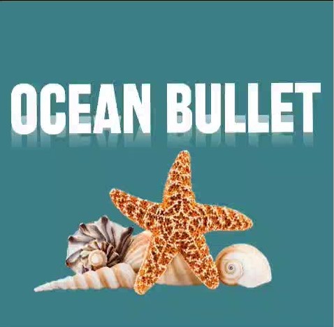OceanBullet Video 1